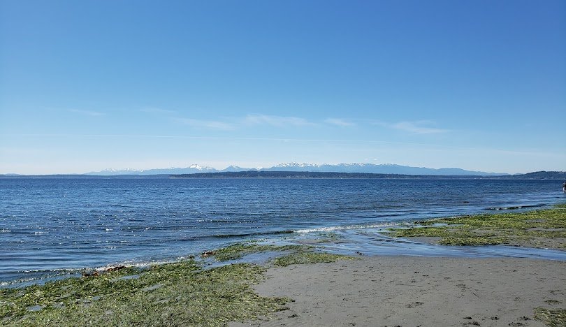 shoreline-wa
