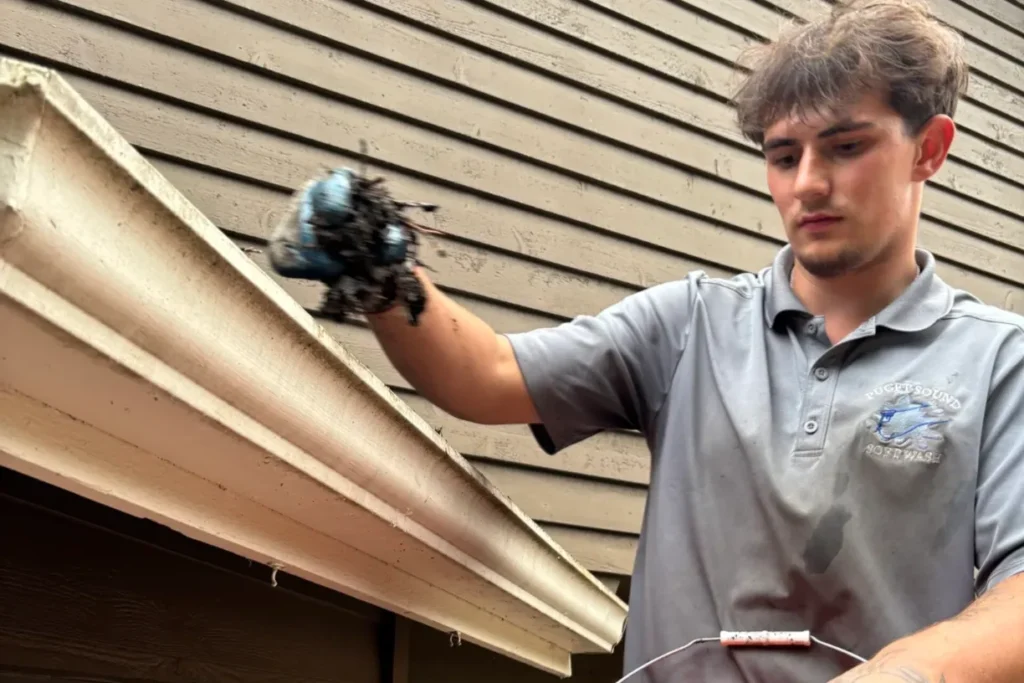 Person cleaning gutters on a wooden house, holding debris with a gloved hand