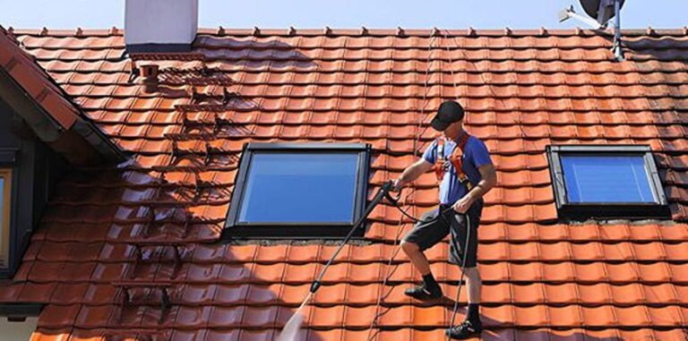 10 Eye-Opening Reasons You Shouldn’t Ignore Roof Cleaning in Shoreline, WA