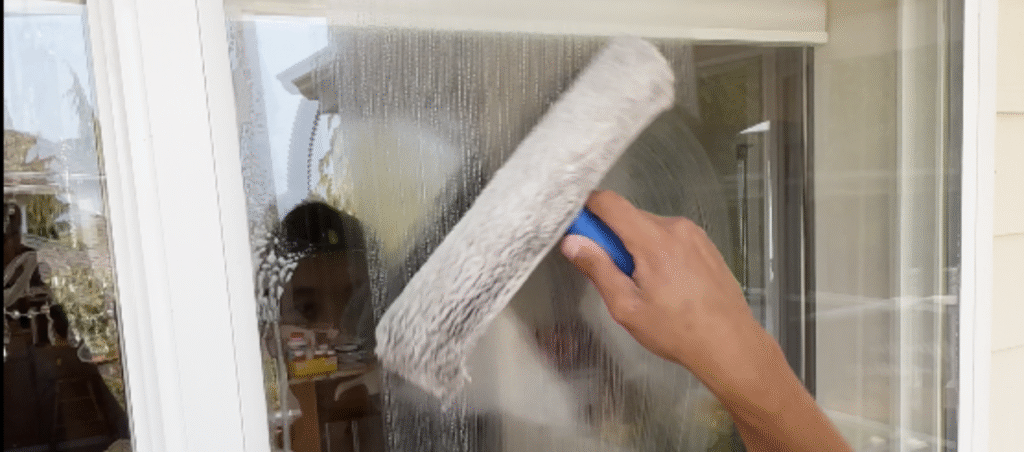 Windows Cleaning Puget (1)