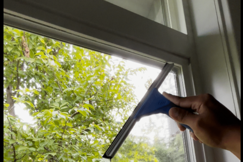 Windows Cleaning