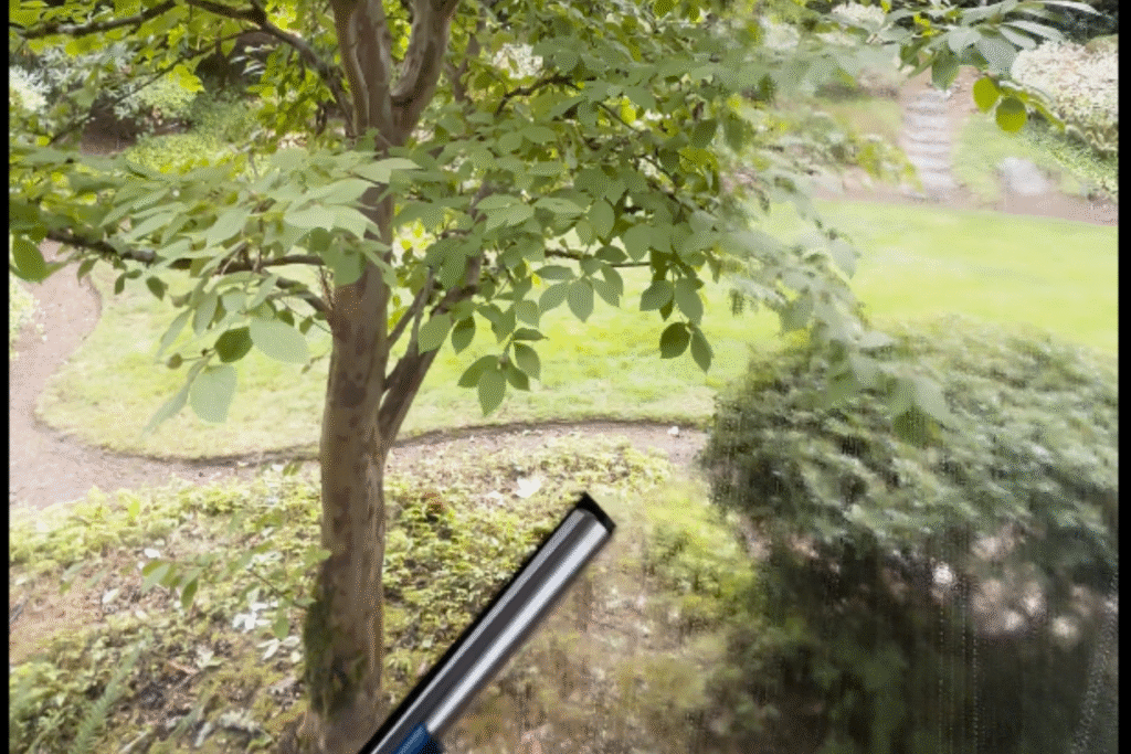 Windows Cleaning - Puget 4 (1)