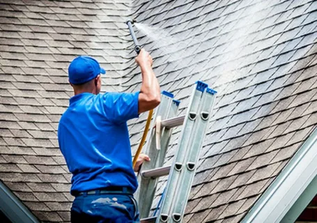 roof cleaning