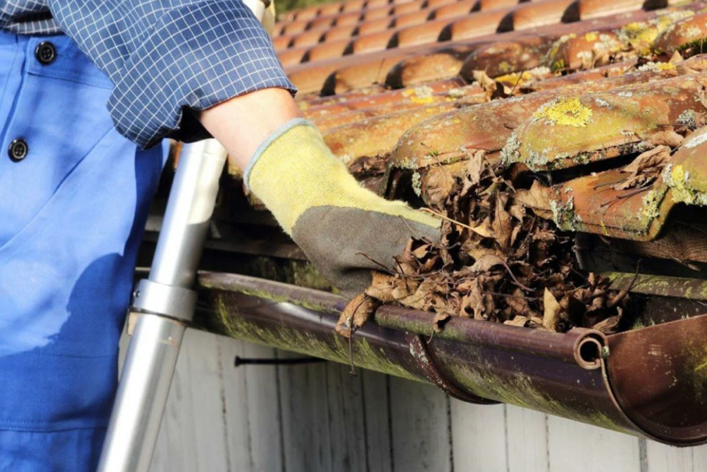 Gutter Cleaning Services