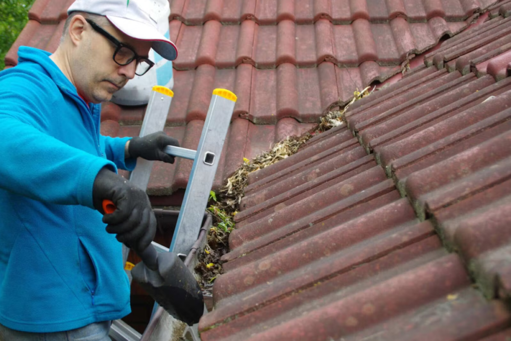 Gutter Cleaning Services in Edmonds, WA