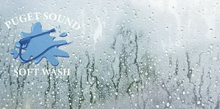 How to Remove Hard Water Stains from Windows​